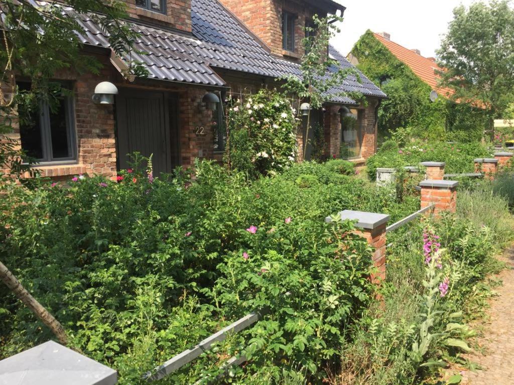 Grosse Wohnung / Haushaelfte In Peetzig Am See Angermunde Exterior photo